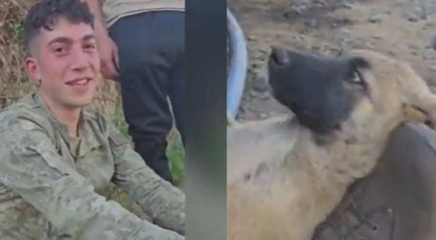 Türk askeri köpeği ayağında uyuttu