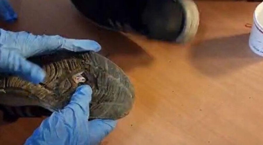 Bayram öncesi dilenci operasyonu! Ayakkabısındaki delikten 902 lira çıktı