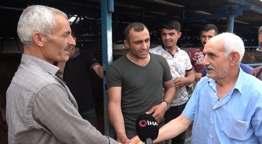 Bursa'nın en ağır kurbanlığı 1 ton 50 kilogram ile "Paşa" oldu