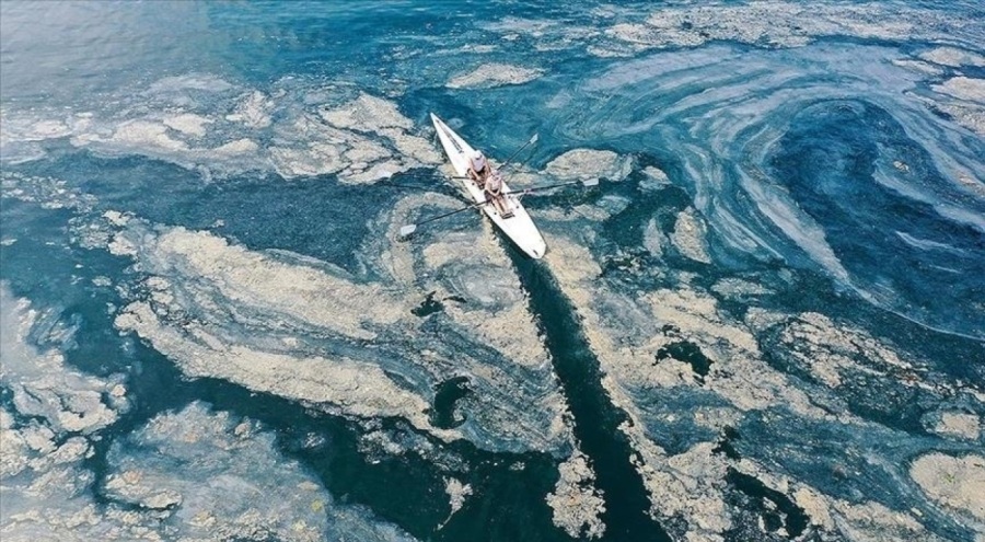 Kabus geri mi dönüyor? Marmara Denizi'nde müsilaj alarmı