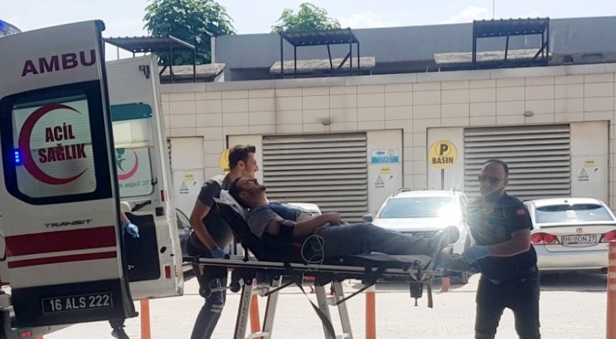 Bursa'da arıların soktuğu genç hastanelik oldu