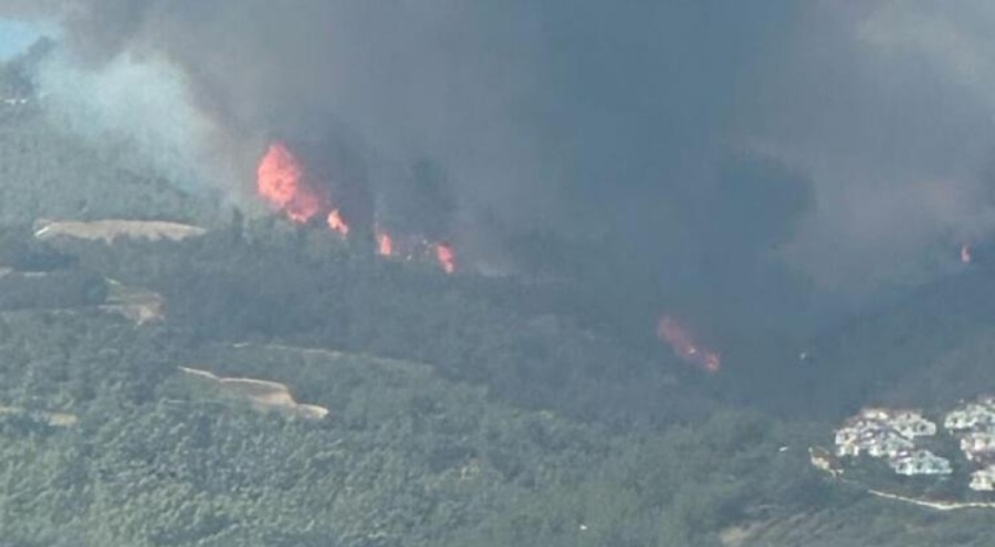 Adana'da orman yangını çıktı