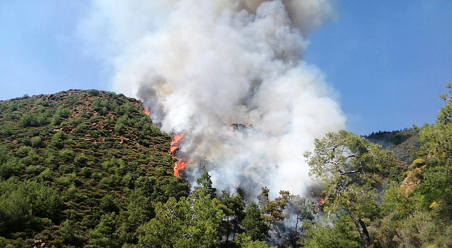 Marmaris'teki yangın kontrol altına alındı