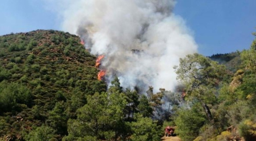 Cesedin ateşe verilmesiyle yangın çıkan olayda şüpheli serbest