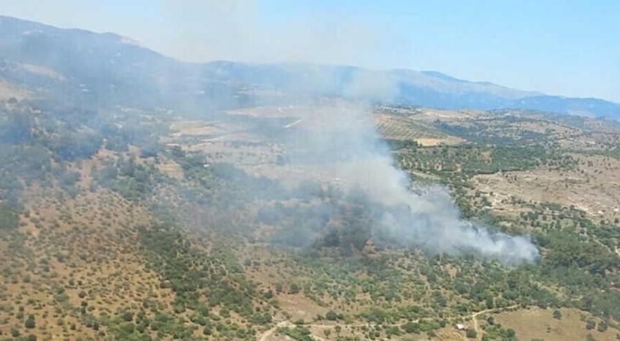 Bergama'da orman yangını