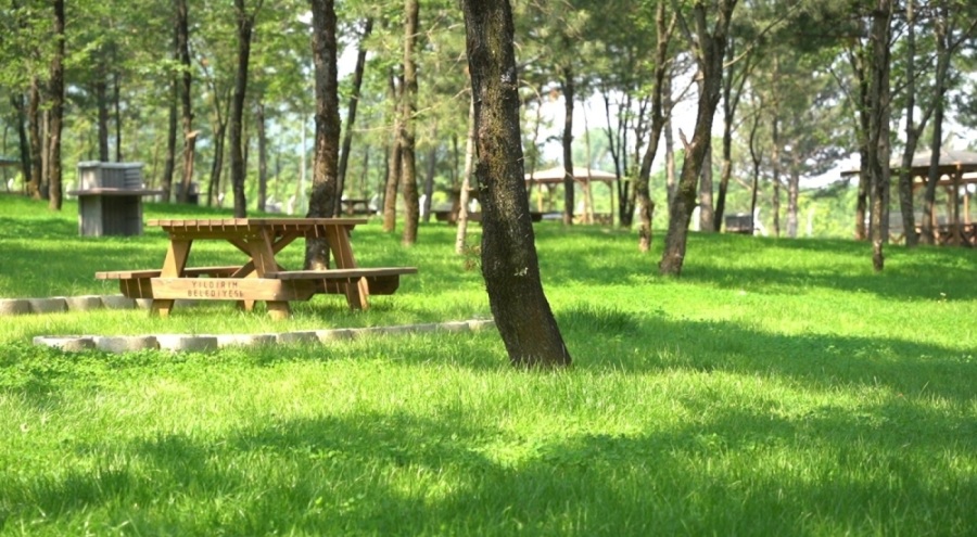 Cumalıkızık Orman Parkı'nda sona doğru