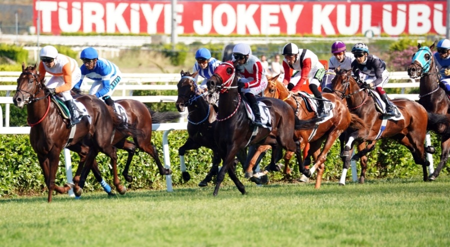97. Gazi Koşusu'nun kazananı Urfa Aslanı oldu