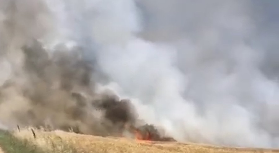 90 dönümlük buğday tarlası yandı