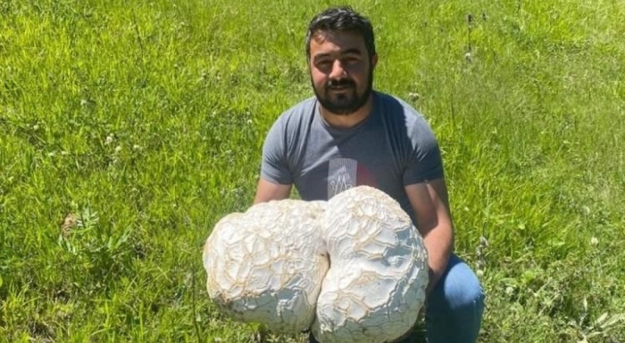 Yürüyüş için çıktıkları dağda buldukları hayrete düşürdü!