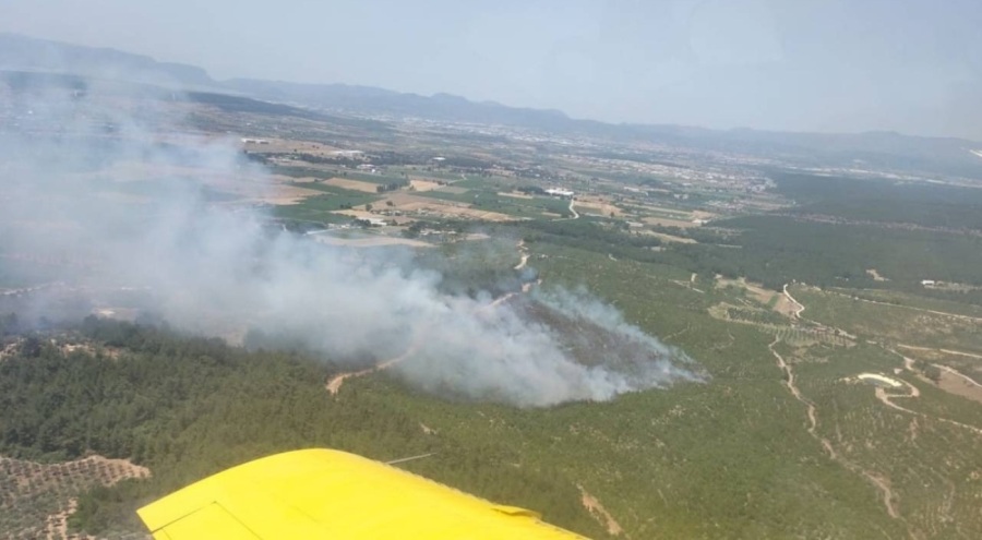 İzmir'de orman yangını çıktı!