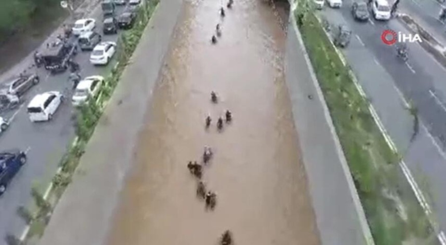 Pakistan'da şiddetli yağış can aldı!