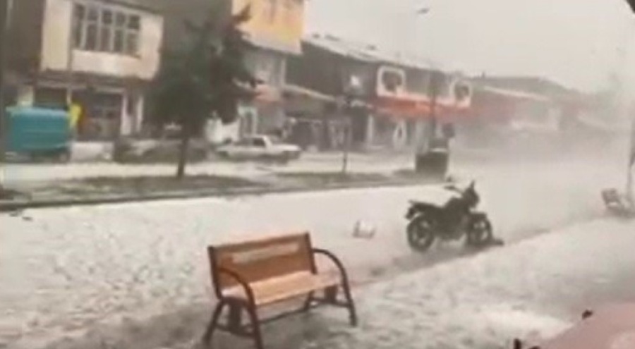 Kars'ta yağan dolu tarım alanlarına zarar verdi