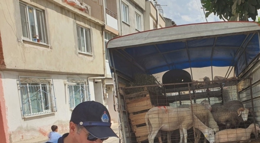 Bursa'da mahalle arasında kurban satışına ceza!