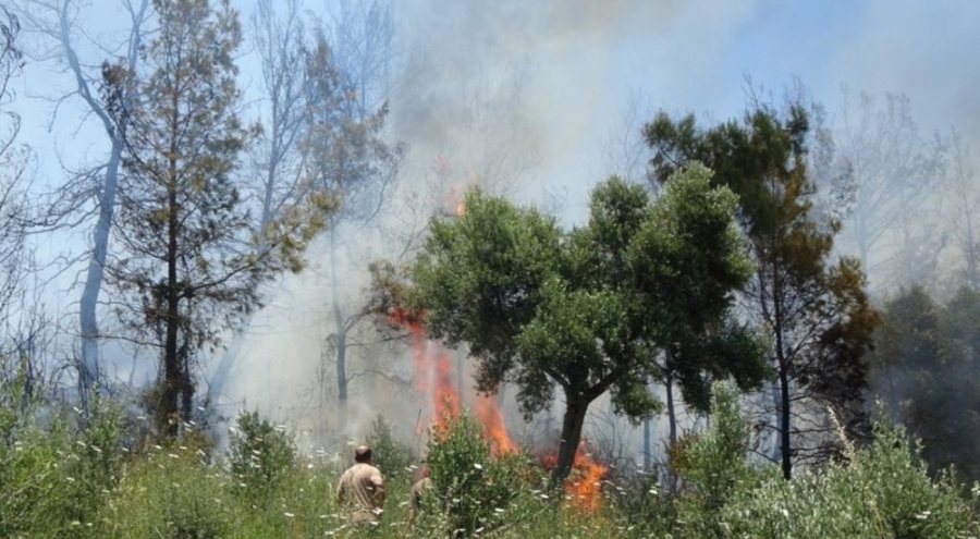 Antalya'da valilik duyurdu, 31 Ekim'e kadar yasaklandı