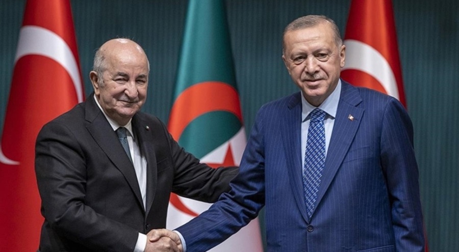 Erdoğan, Cezayir Cumhurbaşkanı ile görüştü