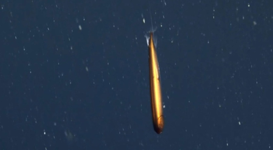 ABD'li bilim insanları açıkladı: Görüntülemeyi başardık