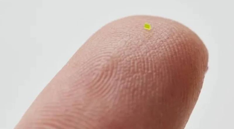 Tuz tanesinden küçük mikroskobik çantanın fiyatı dudak uçuklattı!