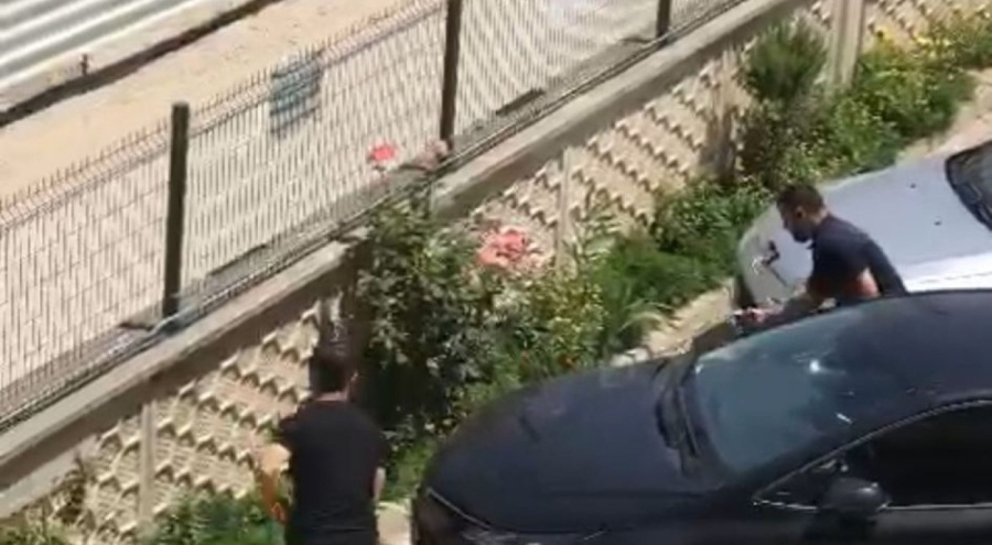 Evin bahçesine giren yılan paniğe neden oldu
