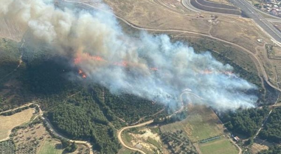 İzmir'de orman yangını