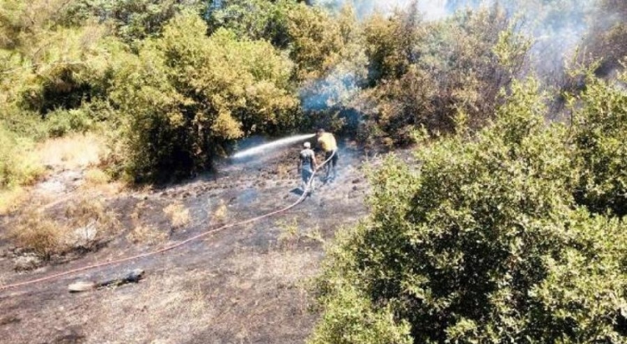 Osmaniye'de korkutan yangın