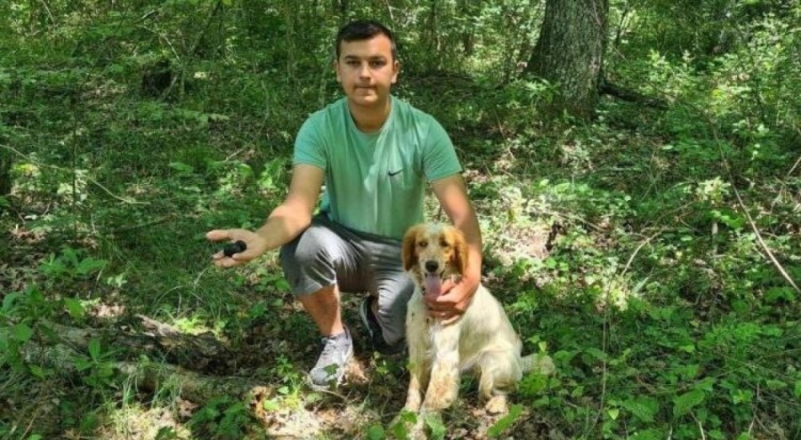 Kilosu 2 bin euroluk trüf mantarlarını köpekler buluyor