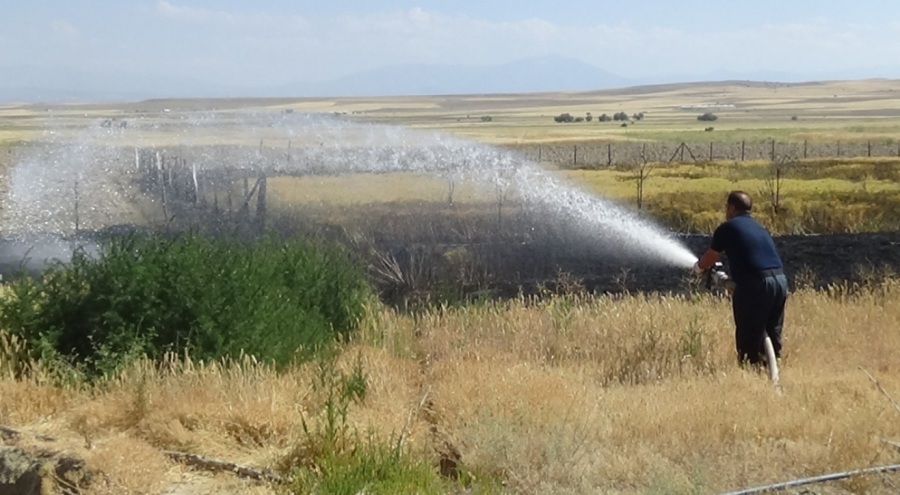 Van'da mangal yapayım derken tarlasını yaktı