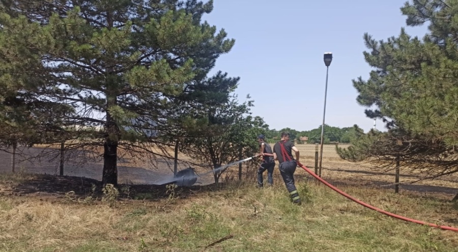 Buğday tarlasında yangın: 12 dönüme yakın alan küle döndü