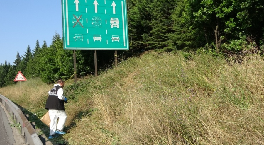 Tem Otoyolu'nun Kocaeli geçişinde çürümüş ceset bulundu