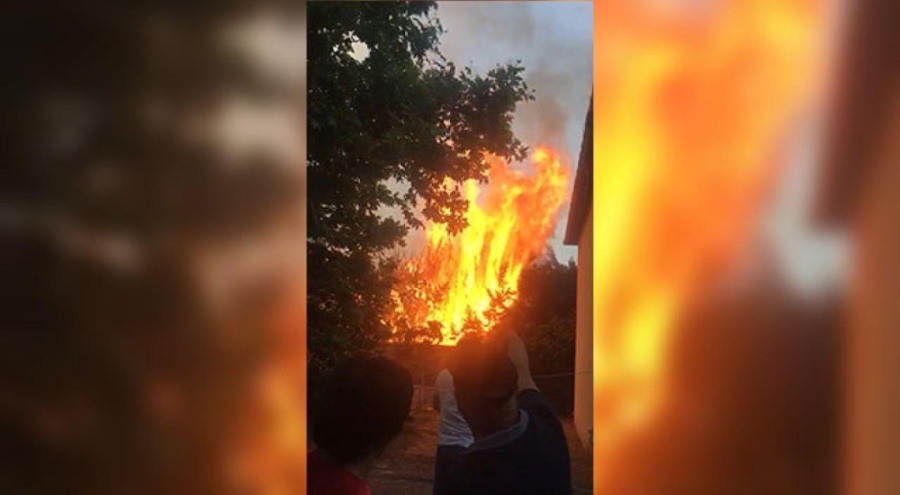 Ağaçlık alanda çıkan yangın 4 binaya sıçradı