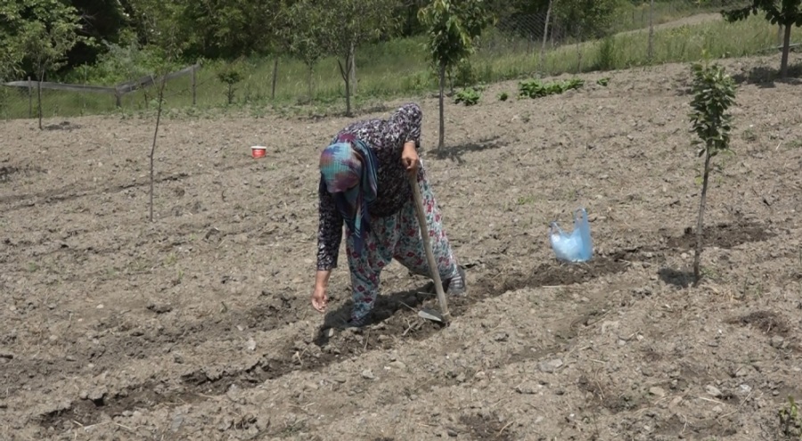 Bursa'da fideler toprakla geç buluştu