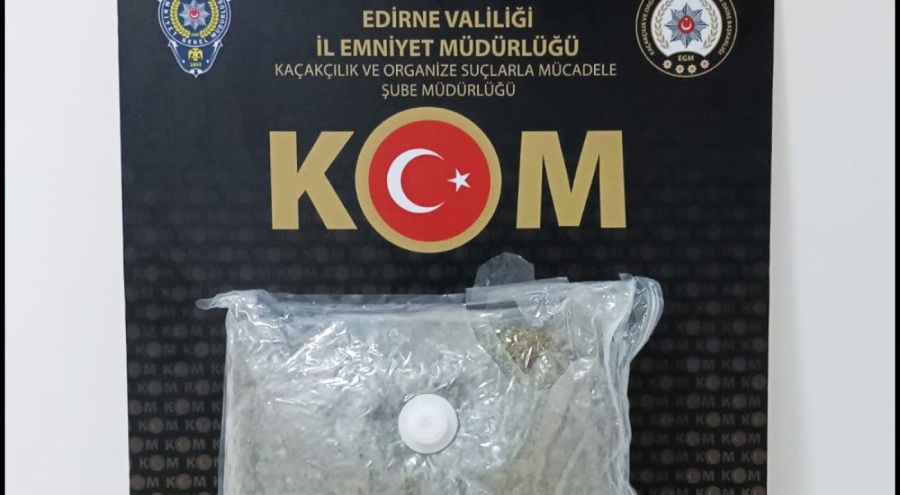 Kapıkule'de durdurulan TIR'da 1 kilo skunk ele geçirildi
