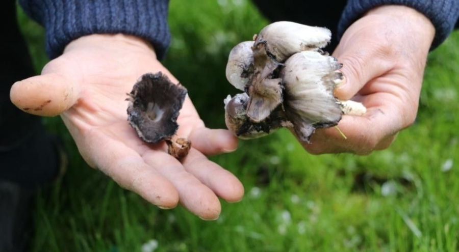 Uzmanlarından uyarı: Bilinçsiz tüketimi öldürüyor!