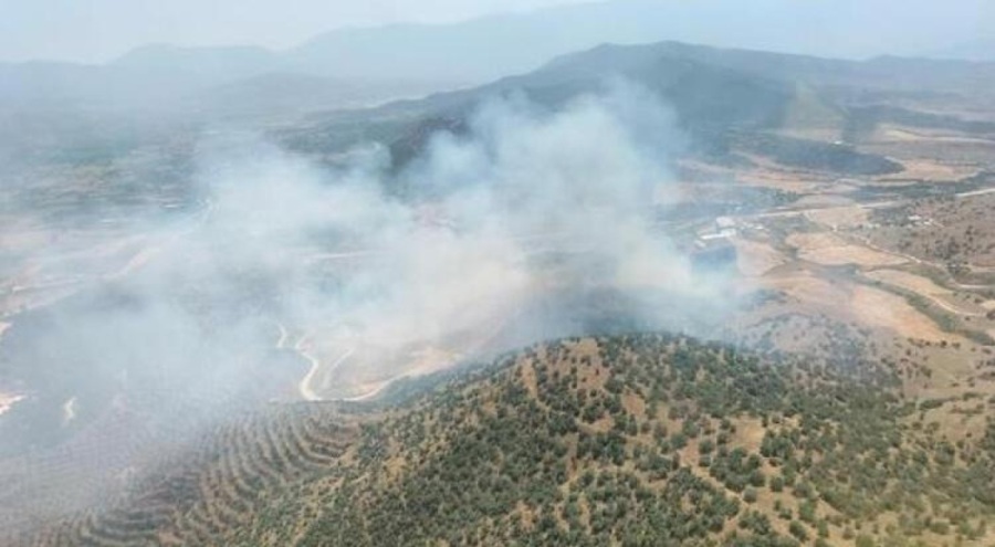 Ekin tarlasında çıkan yangın ormana sıçradı