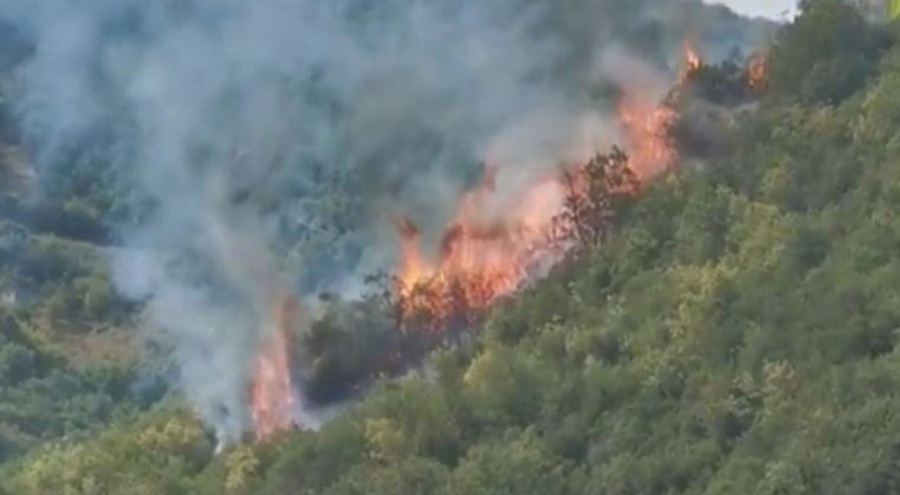 İstanbul'da kent ormanında yangın!