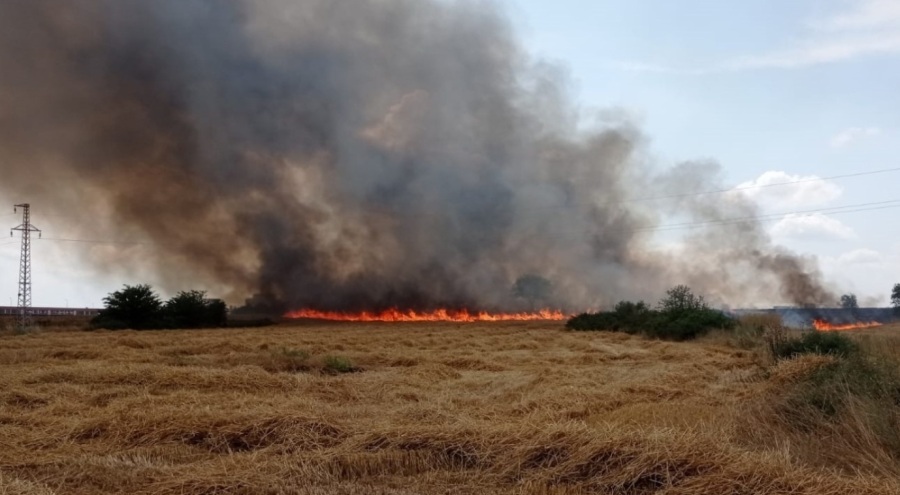 Anız yangını buğday tarlasına sıçradı çiftçinin emeği küle döndü