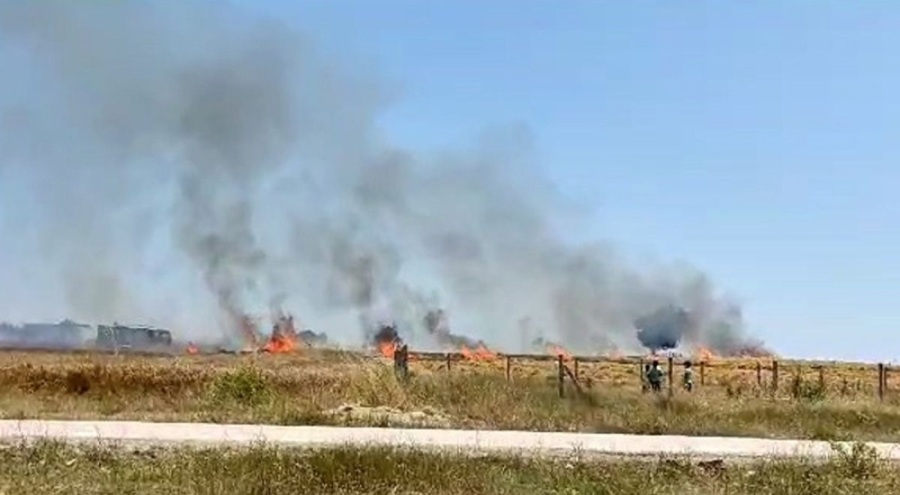 15 dönümlük buğday ekili arazi küle döndü!