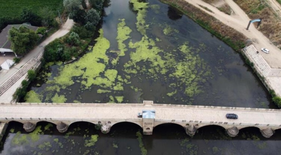 Tunca Nehri'nde endişeye yol açan görüntü! 'Utanç verici bir durum'