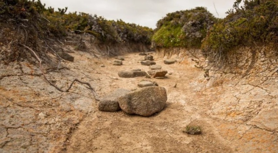 El Nino yedi yıl sonra ortaya çıktı: En sıcak yıl geliyor
