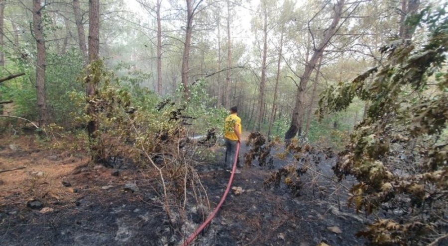 Osmaniye'de yangın!