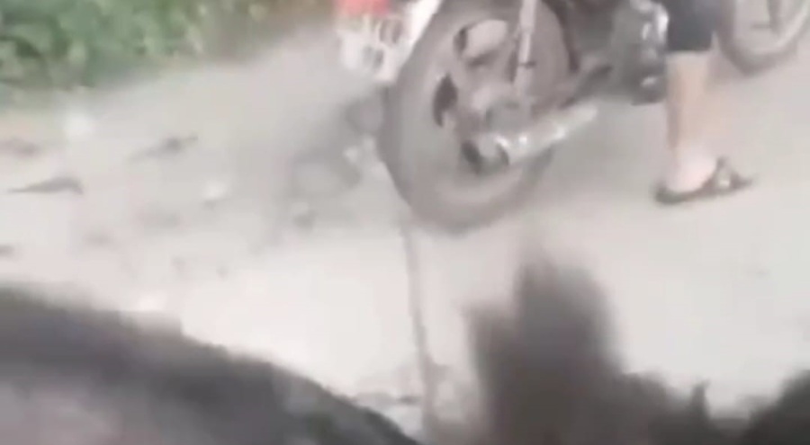 Eşeğe işkence, utanmadan paylaştılar