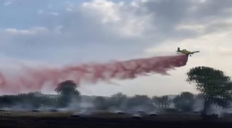 Manisa'da ekin tarlasında yangın