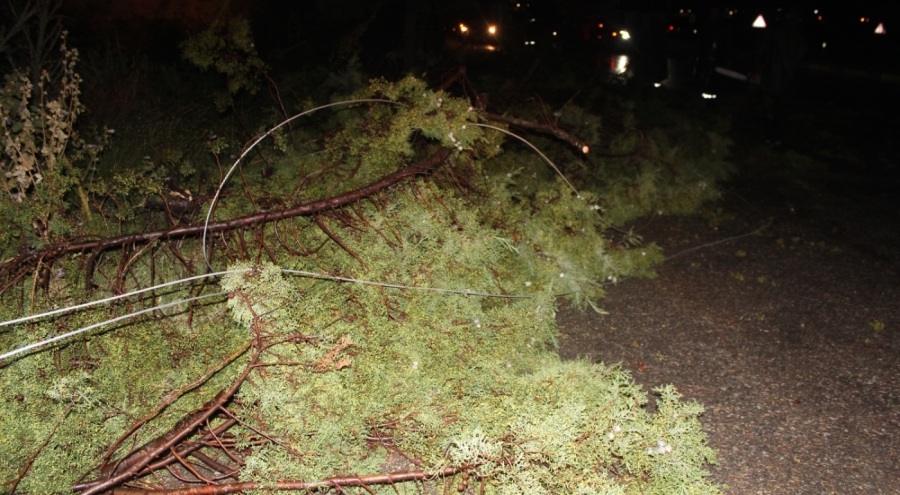 Manisa'nın Alaşehir ilçesini fırtına vurdu