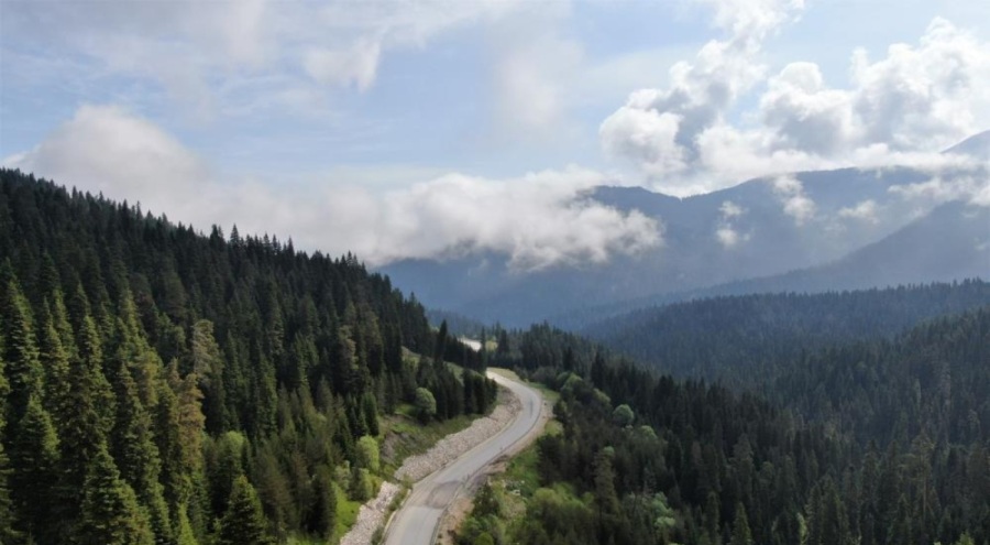 Kastamonu'da ormanlık alanlara girişler yasaklandı