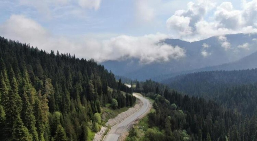 O ilde ormanlıklara giriş ve çıkışlar yasaklandı