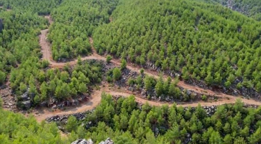 Kilis Valiliği ormanlara girişleri yasakladı!