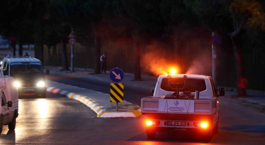 İstanbul'da Asya kaplanı sivrisineği tehlikesi