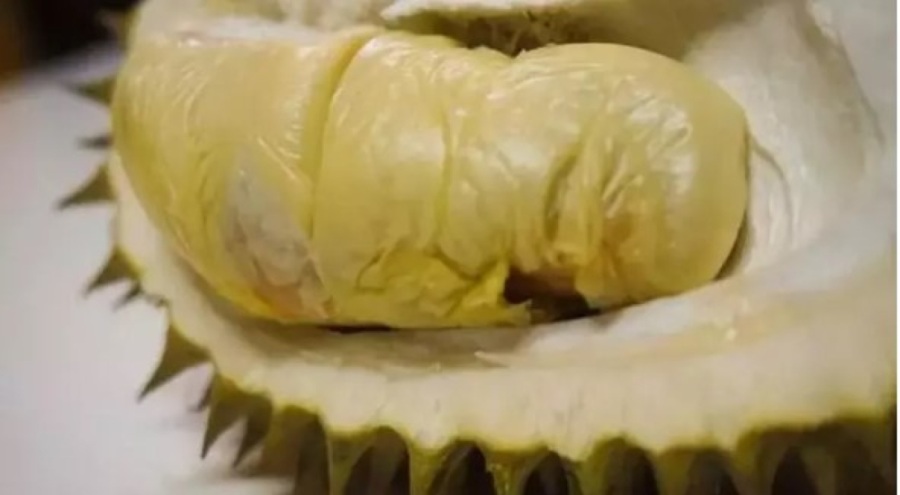 Demir eksikliğinin çaresi durian meyvesinde