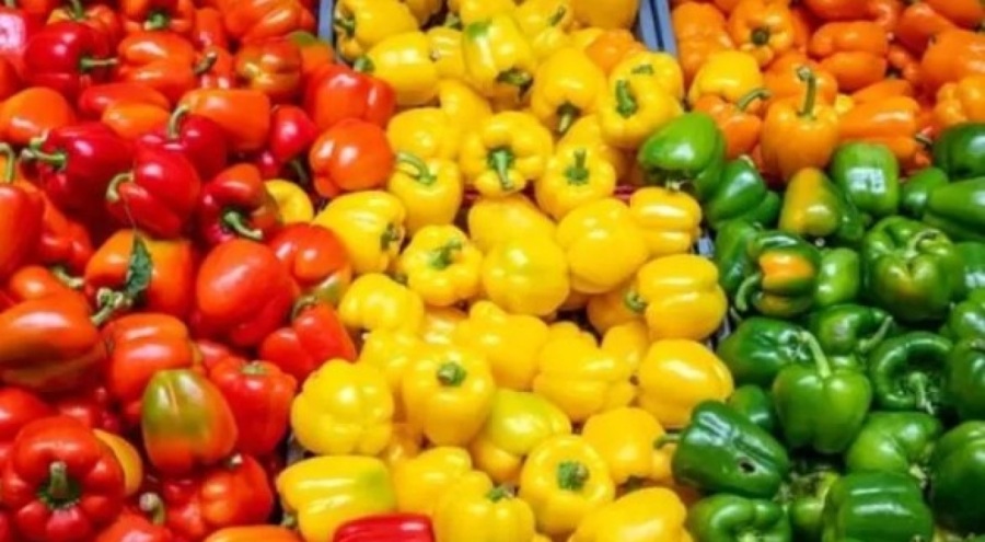 Dolmalık biber portakaldan daha fazla C vitamini içeriyor