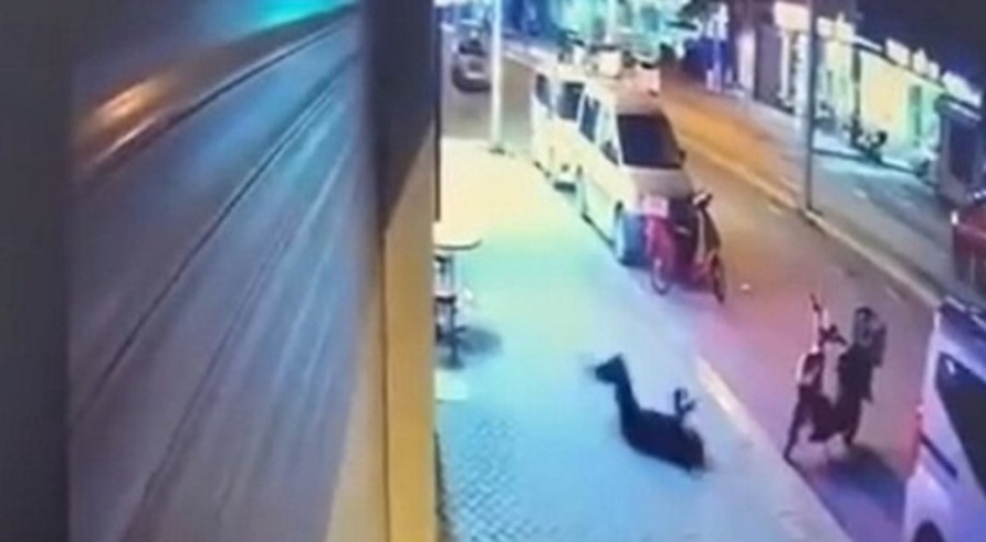 Sevgilisi intihar dedi, gerçek raporla ortaya çıktı!