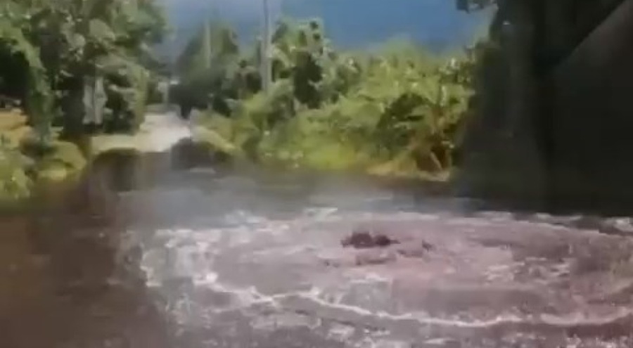 Bursa'da rögar kapağı patladı, fabrikaların zehirli suları armut bahçelerine doldu!